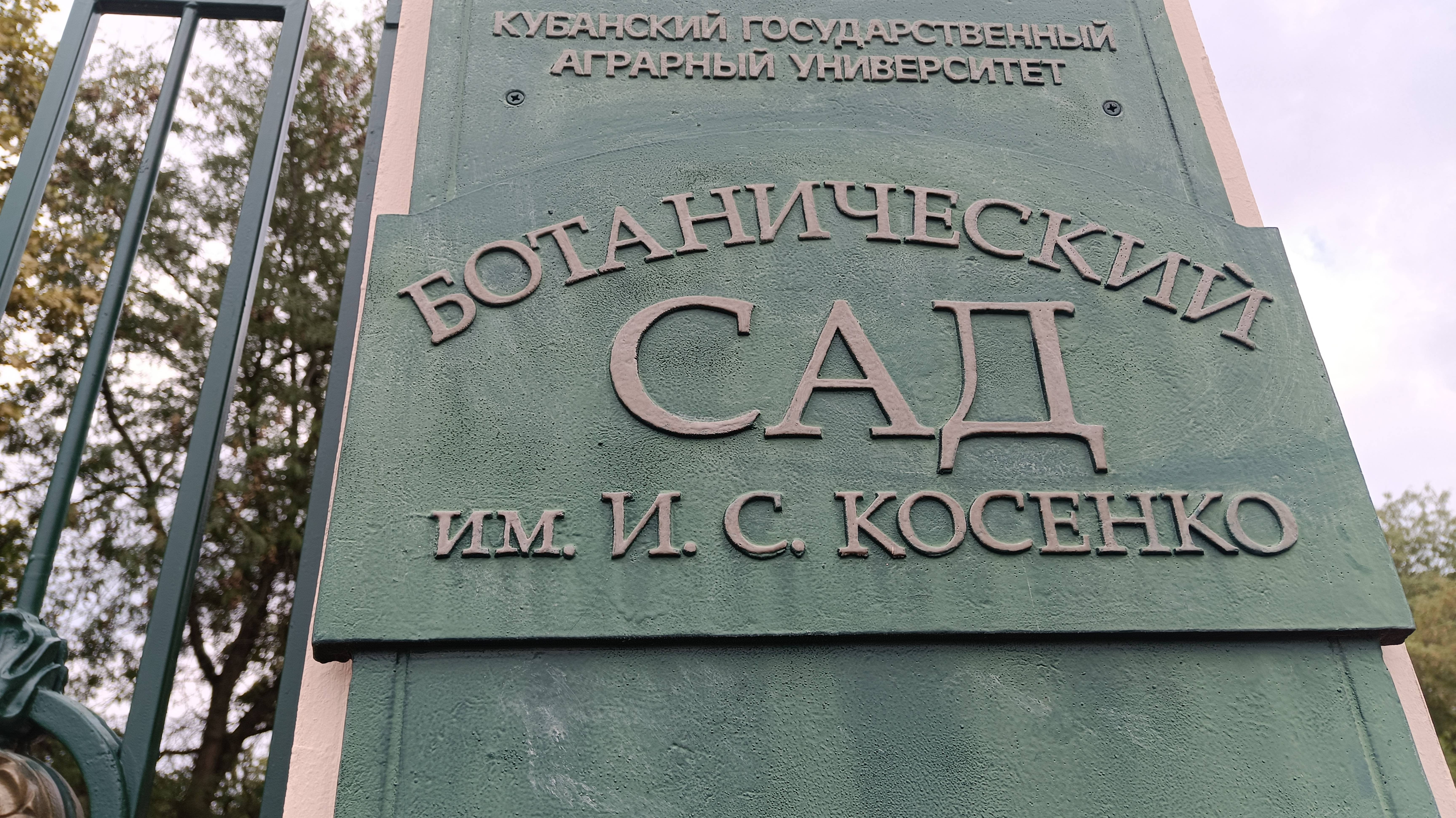 Краснодарский Ботанический сад.