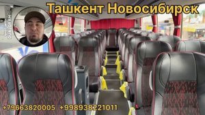 Ташкент Новосибирск Автобус
Новосибирск Ташкент Автобус