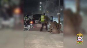 В Якутии сотрудниками наркоконтроля пресечена попытка сбыта более 3 килограммов гашиша