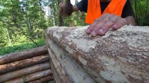 ПРОДОЛЖЕНИЕ.СТРОИТЕЛЬСТВО ЛЕСНОЙ ИЗБУШКИ ИЗ ВЕТРОВАЛА В ОДИНОЧКУ. ЖИЗНЬ В ТАЙГЕ. #7 НЕБОЛЬШОЕ ЧП