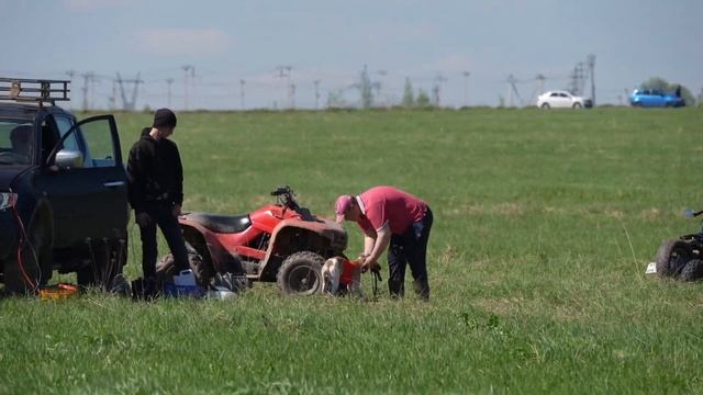 Уиппеты LET IT BE (к) смотреть онлайн