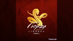 ГЮРЗА (REMIX MUSIC)
