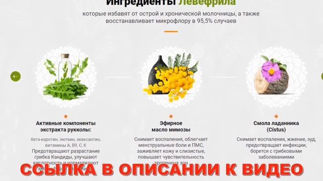 Левефрил купить в Москве смотреть онлайн