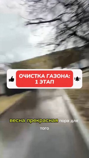 Уход за газоном весной - первый этап.