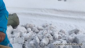 по тундре на кайтах 10 дней 500 км до воркуты