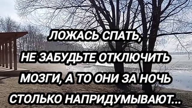 1000113094.mp4 Анекдоты для хорошего настроения