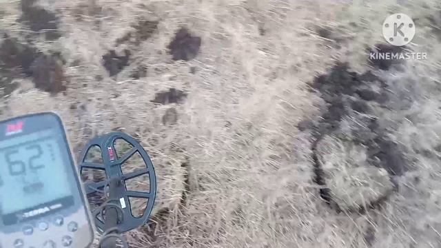 Распаковка, тест и первый выход с Minelab X Terra Elite. смотреть онлайн