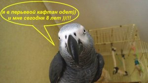 я в перьевой кафтан одет))! и мне сегодня 8 лет!!!
