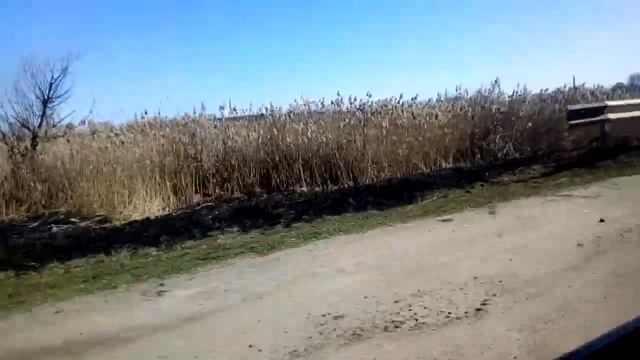 Андрушівка.смт.червоне смотреть онлайн