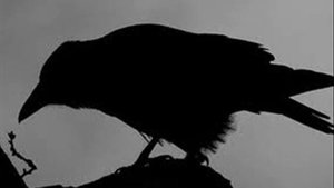 Blackbird by Beatles