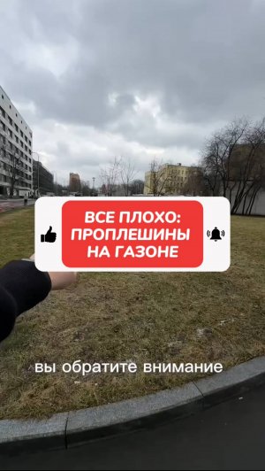 Проплешины на газоне - что делать?