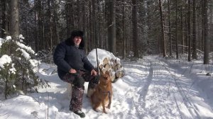 ЛЕСНАЯ ЖИЗНЬ 5 СЕРИЯ