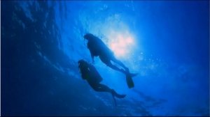 😴 ASMR 1 Hour Scuba Diving Sounds Underwater for Relaxing, Sleeping.by muszic