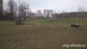 ОКД - Ко мне