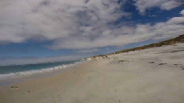 9 Foot Bronze Whaler Shark Caught Off The Beach смотреть онлайн
