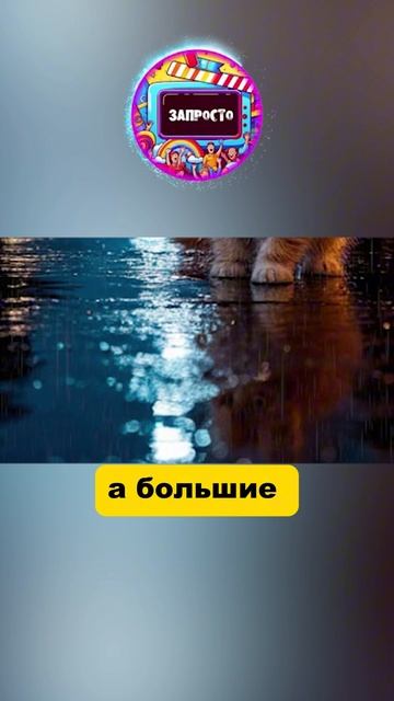История на канале.