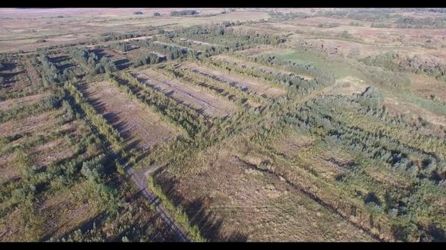 Ферма Калиниград  Ново Московское