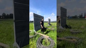 Вологодские лоси 2024
