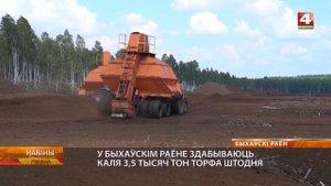 Добыча торфа проходит в Быховском районе