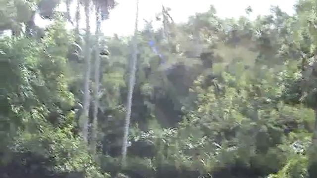джунгли Кубы / The Cuban Jungle