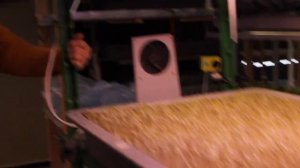 ФИТОЛАМПА / КАК ВЫБРАТЬ ОСВЕЩЕНИЕ ДЛЯ ВЕРТИКАЛЬНОЙ ФЕРМЫ / МИКРОЗЕЛЕНЬ