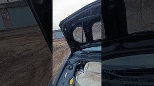 идеальная установка газлифта под капот. Рено меган 2