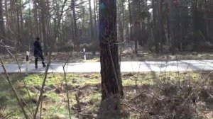 Мальвинкель #2