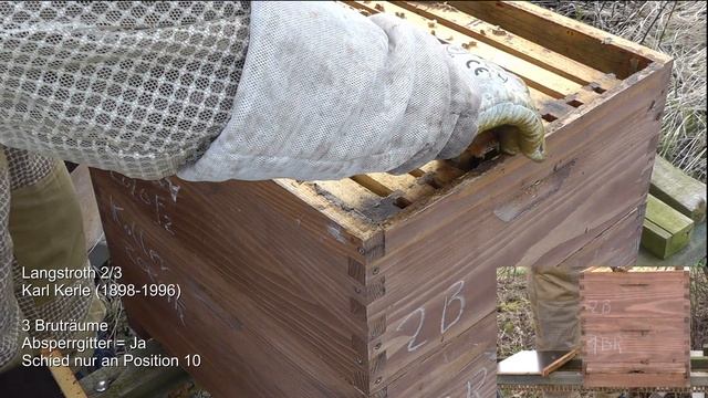 #3 Vergleichsimkern - LS 2/3 Karl (28.03.2021) смотреть онлайн