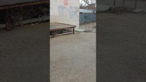 1 Дом Удачи + Ещё Один Домофон Удачи | Домофоны #3.mp4