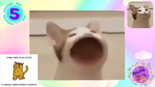 3 часть угадай мем по звуку смотреть онлайн