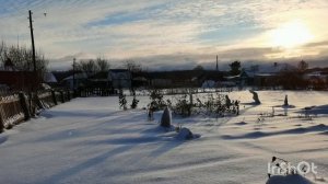 Из осени в зиму! Как сохраняю урожай до весны. Впечатление о Новосибирске.