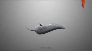 Заставка рекламы "Камень" (Перец, 15.05-30.07.2015)