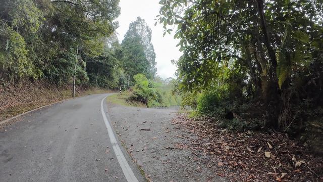 13 Malaysia, Cameron Highlands, Tanah Rata, красивый подъем в окрестностях 
г. Тана Рата, Малайзия