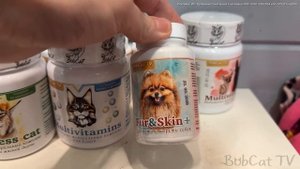УГОВАРИВАЮ РЫСЬ ХАННУ НА ПРОГУЛКУ