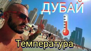 ДУБАЙ 2025 🇦🇪 ЗАМЕРЫ ВОДЫ В ПЕРСИДСКОМ ЗАЛИВЕ /  ХОСТЕЛ за 20$ / Смотровая площадка на ПАЛЬМЕ