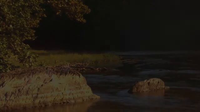 Mindfulness Music For Sleep  | Delta Waves Binaural Beats | Relaxing Slow Music