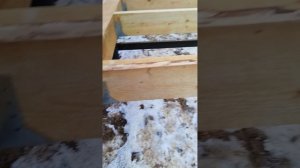 VID_20250301_170737.mp4