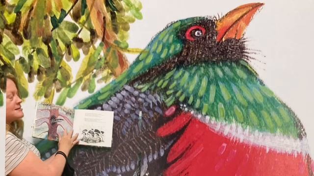 (Bilingual) The Toucan and the Rainbow смотреть онлайн