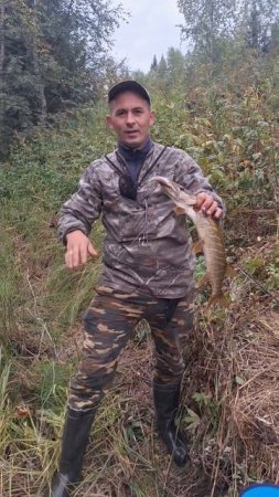 летняя рыбалка
