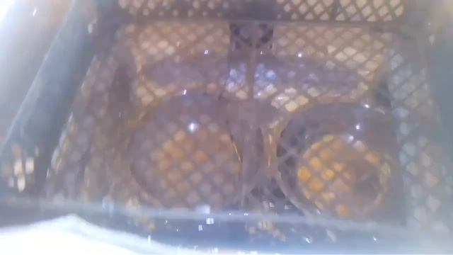 Инкубатор за 200 грн, или 8$ смотреть онлайн