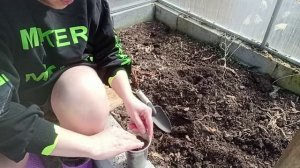 Намыла окна от души! Рассадила помидоры))