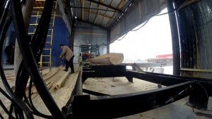 Как запустить пилораму? Запустили 2 пилорамы в Екатеринбурге.