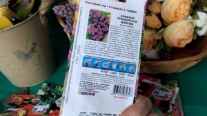 Подарила мужу гиацинтыНовые семена цветовПетуния растёт как на дрожжахЗачем мне паяльник