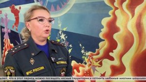 В Свердловской области определен период пожароопасного сезона в 2025 году