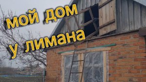 Мой дом у лимана. Работаем во дворе. Жабы спрятались😄. Яма. Чердак, новые находки.