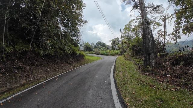 13 Malaysia, Cameron Highlands, Tanah Rata, очередной подъем в окрестностях