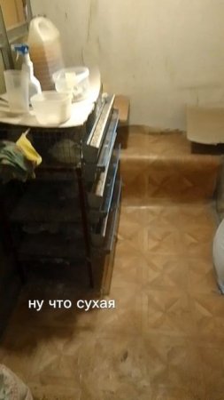 убралась у своих перепелочек