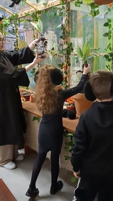 Урок травологии 🌱☘️🌿 #миргаррипоттера #гаррипоттер #мандрагора