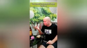 📹 Экономный муж. Сборник. 1 сезон. Алежа Обухов(Алежа_Обухов)