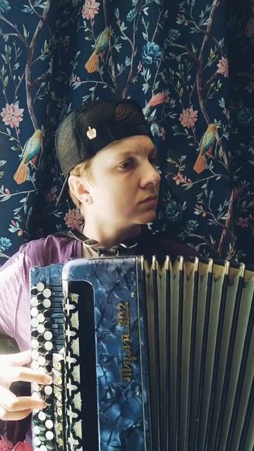 Крылья - Наутилус Помпилиус на баяне #баян #баянист #наутилуспомпилиус #топ #брат #музыкаизфильма смотреть онлайн